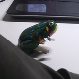 寒石