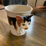 xox