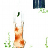 养猫的鱼