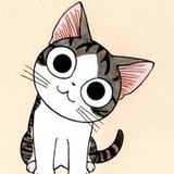 灵小猫