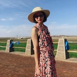 李大力
