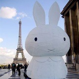 miffy123