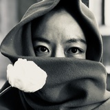 七星海棠