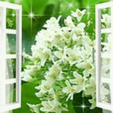 spring02228