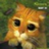 伯爵の猫