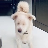 姑娘我自己脱