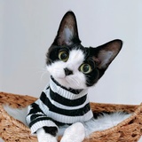 MEOW