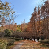 溪客