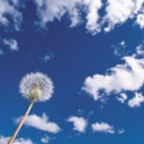 尐妞給夶爺笑①嗰