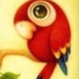 我就想到处看看