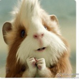 伯阳父