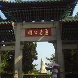 爱上蚂蚁