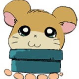 小仓鼠