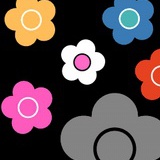 yoyo