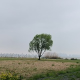 遇