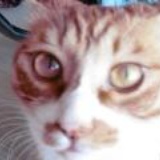 ruffian