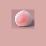 C稀饭兔子