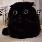 风弄竹声