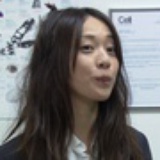 粉红虾皮