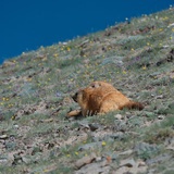 咸鱼的自我修养