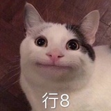 行8