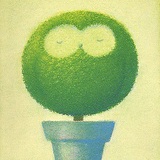 lollypop