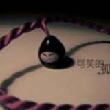 热带鱼的味道
