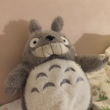 碧寻