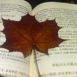 深巷卖杏花