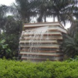 小狗·尚道