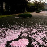 小艾