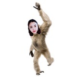 来源