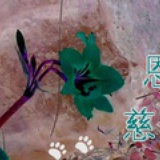 一个人的热闹