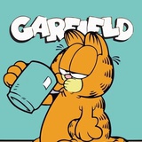 看不见光环的猫