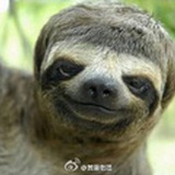 吃眼袋不長番茄