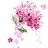 花花小米