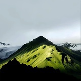 cdwty