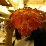 I_Amelie