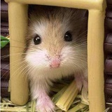 straw