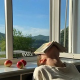 狸