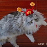 没名没姓