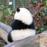 疯狂的牛牛