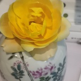 西湖