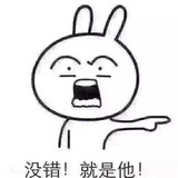 萌萌哒茵茵