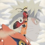 逆蝶