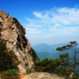 山中小熊