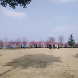 海子查汪