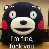 How're you?