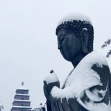 李皂白