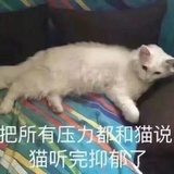 ᶘ ͡°ᴥ͡°ᶅ